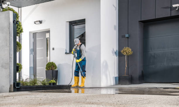 Boat and Dock Cleaning in Bayou Lourse, LA